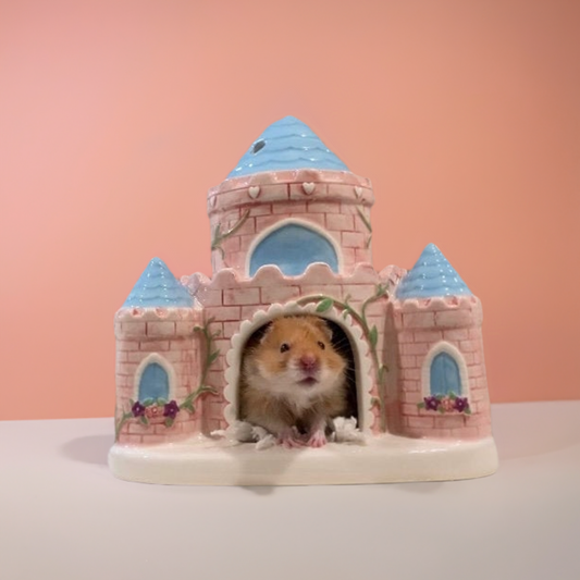 Hamster Fairy Castle Hideouts